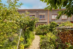 Vrouwenmantel 81  Schoonhoven 064.jpg